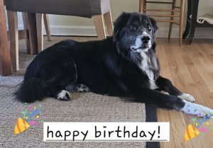 Mumford's Birthday